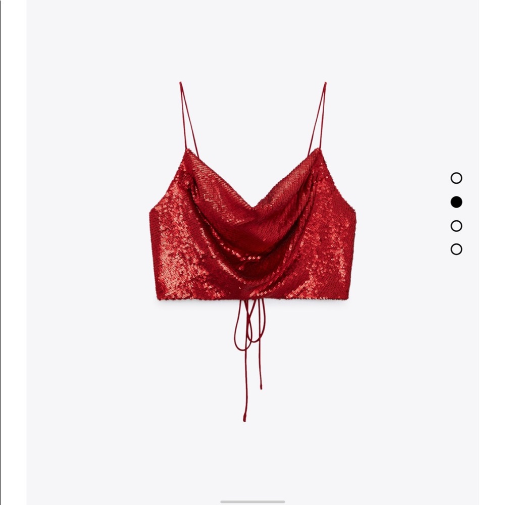 Zara Cropped Sparkle Top